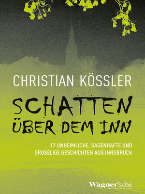 cover image of Schatten über dem Inn
